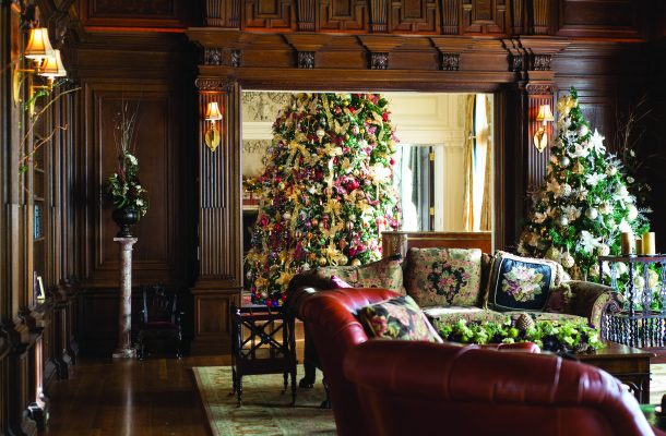 GLANWORTH GARDENS: The Christmas tree in the Great Hall can be enjoyed from the cozy, wood-paneled library, which also includes its own tree.